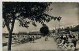 17 - ROYAN - La Promenade, Le Front De Mer - Royan