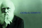 H-D- 1  ^^     Charles Darwin ,  Origin Of Species , ( Postal Stationery , Articles Postaux ) - Naturaleza