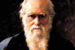 H-D- 7  ^^     Charles Darwin ,  Origin Of Species , ( Postal Stationery , Articles Postaux ) - Nature