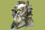 H-D- 28  ^^     Charles Darwin ,  Origin Of Species , ( Postal Stationery , Articles Postaux ) - Natur