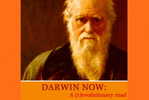 H-D- 31  ^^     Charles Darwin ,  Origin Of Species , ( Postal Stationery , Articles Postaux ) - Naturaleza