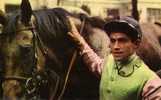 LE CALENDRIER DES COURSES NOVEMBRE 1967 OFFET PAR POSTILLON...CPSM PETIT FORMAT ANIMEE - Horse Show