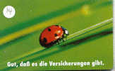 Ladybird Coccinelle Lieveheersbeestje Insect (14) - Coccinelle