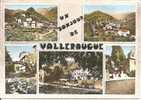 UN BONJOUR DE VALLERAUGUE - Valleraugue