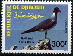 DJIBOUTI 1993 MiNr. 579 Dschibuti Birds Oiseaux White-eyed Gull (Larus Leucophthalmus) 1v MNH** 5,00 € - Albatros & Stormvogels