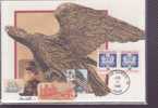 ETATS UNIS CARTE MAXIMUM NUM.YVERT  SERVICE 111  AIGLE - Maximum Cards