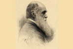 H-D- 21  ^^     Charles Darwin ,  Origin Of Species , ( Postal Stationery , Articles Postaux ) - Natur