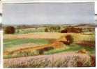 GOOD LITHUANIA Postcard - Zemaitiyos - Litauen