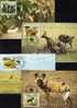 WWF-Set 58 Guinea 1114/7 **, 4FDC+ 4MKt. 41CHF Wildhund Aus Afrika Mit Dokumentation - Naturaleza