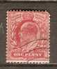 GB 1902-13  KEVII  1d (o) SG.219 - Used Stamps