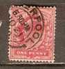 GB 1902-13  KEVII  1d (o) SG.219 - Used Stamps