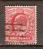 GB 1902-13  KEVII  1d (o) SG.219 - Used Stamps