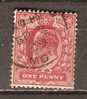 GB 1902-13  KEVII  1d (o) SG.219 - Used Stamps