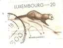 TIMBRE DU LUXEMBOURG "MUSTELA PUTTORIUS L." ANNEE  1996 OBLITERE - Gebraucht