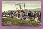 A Crew Of Sheep Shearerst Work, Chas. E. Morris Pub. Chinook, Mont.  1900-10s - Altri & Non Classificati