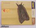 TC 196a MARIPOSA, Butterfly, EUDYARIA ZETA, URUGUAY, ANTEL - Uruguay