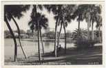 Rppc- U.S.A. - FLORIDA - ST. PETERSBURG - MIRROR LAKE - CITY SKYLINE - WATERFRONT - St Petersburg