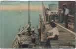 U.S.A. - FLORIDA - ST. PETERSBURG - FISHING BOAT @ A.C.L. DOCK - LOADED W FISH - WHARF W MEN - CIRCA 1910 - St Petersburg