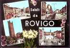 Rovigo, Vedutine E Saluti Anni ' 50 - Rovigo
