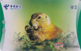 Télécarte CHINE - ANIMAL Rongeur MARMOTTE - MARMOT Rodent CHINA  Phonecard - MURMELTIER Telefonkarte - 21 - China