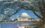 5420   Stati   Uniti     The Jefferson  Memorial  VG  1952 - Washington DC