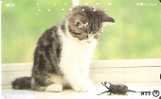 TARJETA  DE JAPON DE UN ESCARABAJO  (INSECT-INSECTO) GATO-CAT - Andere & Zonder Classificatie