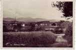 Palézieux-Village En 1934, Un Tout Petit Village Dans Son écrin De Verdure ! Vue Disparue Aujourd'hui. - Palézieux