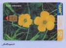 TC 219a MACACHIN AMARILLO. OXALIS SELLOWIANA. YELLOW. URUGUAY, ANTEL. - Uruguay