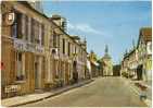 Carte Postale GF Flogny - La Rue Principale Et Les Hôtels - Flogny La Chapelle