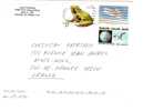 Etats Unis Grenouille On Letter - Frogs