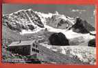 K499 Berghütte Tschierva Mit Piz Bernina Und Scerscen.Gelaufen Im Umschlag In 1962. Flury Pontresina 1557 - Pontresina