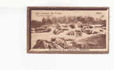 CHOCOLAT SUCHARD -  Collection Coloniale - Les Chutes De TRIAN -   Cochinchine - N° 260 - Suchard