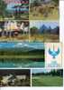 (0428) 2 Golf Postcard - 2 Carte Sur Le Golf - Golf
