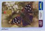 TC 244a Butterfly, MARIPOSA. DOXOCOPA KALLINA. ANTEL, URUGUAY. - Uruguay