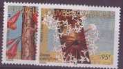 NOUVELLE-CALEDONIE N°704/05** NEUF SANS CHARNIERE    FLORE - Unused Stamps