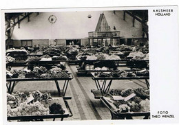 Aalsmeer  Interieur D'une Salle De Vente De Fleurs Carte Photo - Aalsmeer