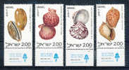 ISRAELE 1977 CONCHIGLIE DEL MAR ROSSO. SERIE COMPLETA MNH** YT 668-71 - Conchas