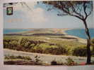 2513 VISTA DESDE LA MOLA FORMENTERA    BALEARES ISLANDS   POSTAL AÑOS 1970 MIRA OTRAS SIMILARES EN MI TIENDA - Formentera