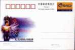 2006 CHINA JP136 SAMPLING SURVEY OF DISABILITY P-CARD - Postcards