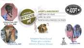 Animal Rescue, Adopt A Shelter Pet First Day Cover, From Toad Hall Covers!  #6 - 2001-2010