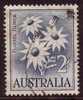 1959 - Australian Native Flower Definitives 2s FLANNEL FLOWER Stamp FU - Gebraucht