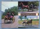 A902 LANCASTER COUNTY THE AMISH COUNTRY OHIO CARROZZE - Sonstige & Ohne Zuordnung