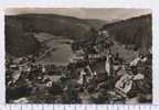 ALLEMAGNE-- TODTMOOS   --RECTO / VERSO ----Z29 - Todtmoos