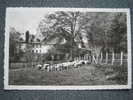 CPSM 19 - CHAMBERET - LOGIS DE LAFARGE - ARRIVEE AU PATURAGE - 1952 - - Arnac Pompadour