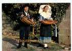 JOUEURS De VIELLE - VIELLEUX - Musique De L'Ecole Du Barbichet En Limousin Au Mont Gargan - Dos Scané - Music