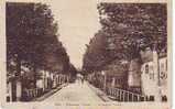 85.AIZENAY . AVENUE DE VERDUN. - Aizenay