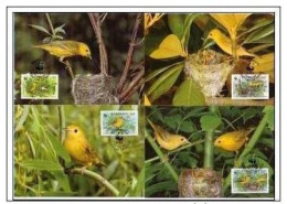 Barbados 1991 WWF W. W. F. Maximum Cards X4 Yellow Warbler Oiseaux Bird Birds Bird Birds - Maximumkarten