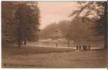 BELGIQUE - BRUXELLES - CPA - N°195 - Bois De La Cambre, Le Lac - Parks, Gärten