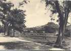 CP 04 FORCALQUIER Vue Générale , Route De MANE ( La Provence Par Mario ANSALDI ) Habitation - Forcalquier