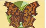 B222 Animals Papillons Butterflies Polygonis C-album Not Used  PPC Good Shape - Vlinders